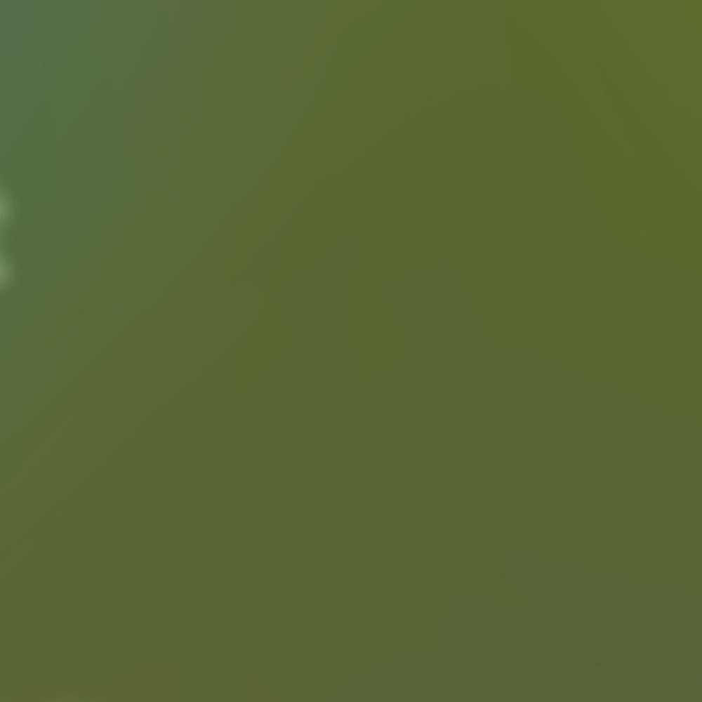 Meet your Posher, Davian